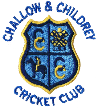 Sponsor logo #5